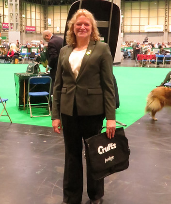 judging crufts dog show