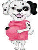 pregnant.jpg